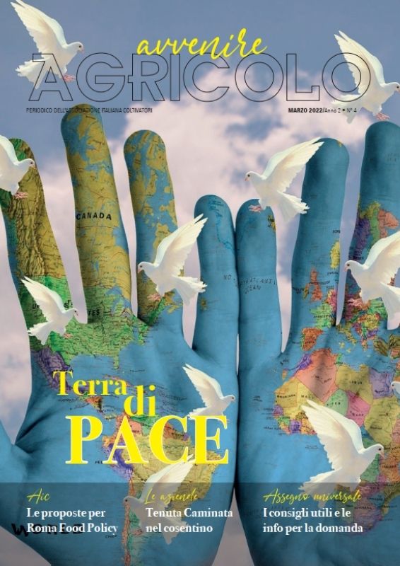 mani, mappamondo, colombe, pace, terra